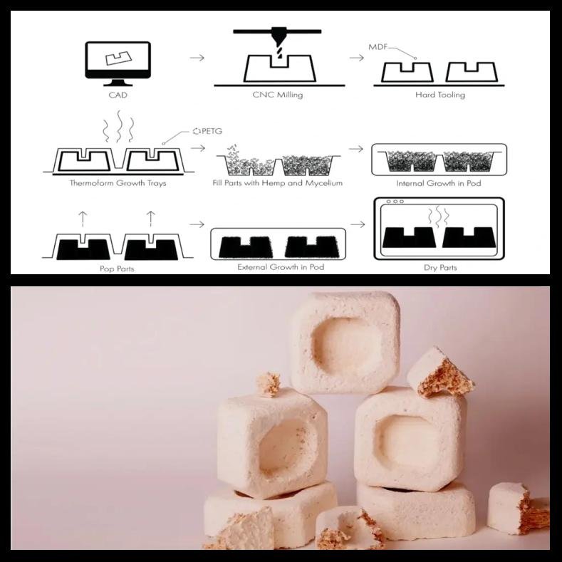 f2deb48f8c5494ee30e8e503ff63c3f198257e0c